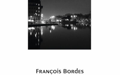 Zone perdue, de François Bordes